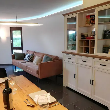 G&P Housing Apartments - Premium Altensteig Extérieur photo