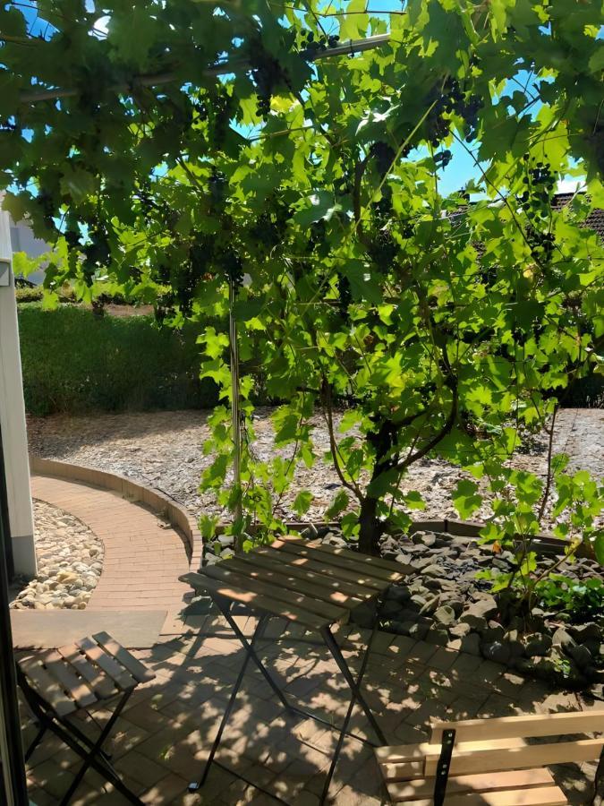 G&p Housing - Premium Appartement Altensteig